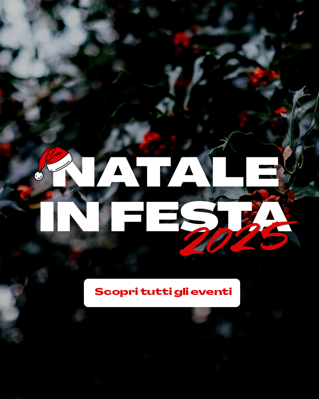 popup-natale-in-festa